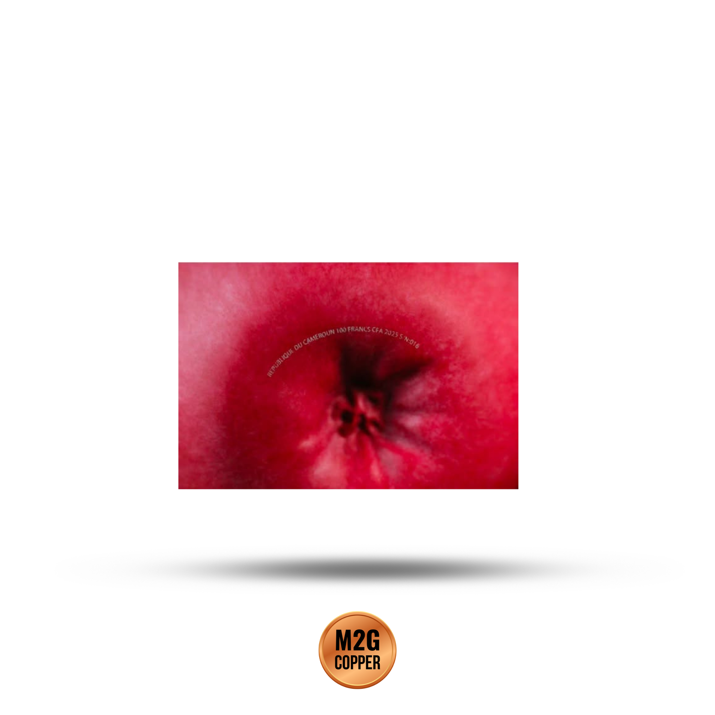 Cameroon Most Realistic Apple Copper Coin